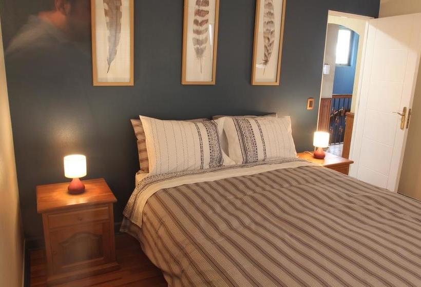 Bed and Breakfast Hostal Pluma De Ganso | Temuco | Araucanía | Chile 4