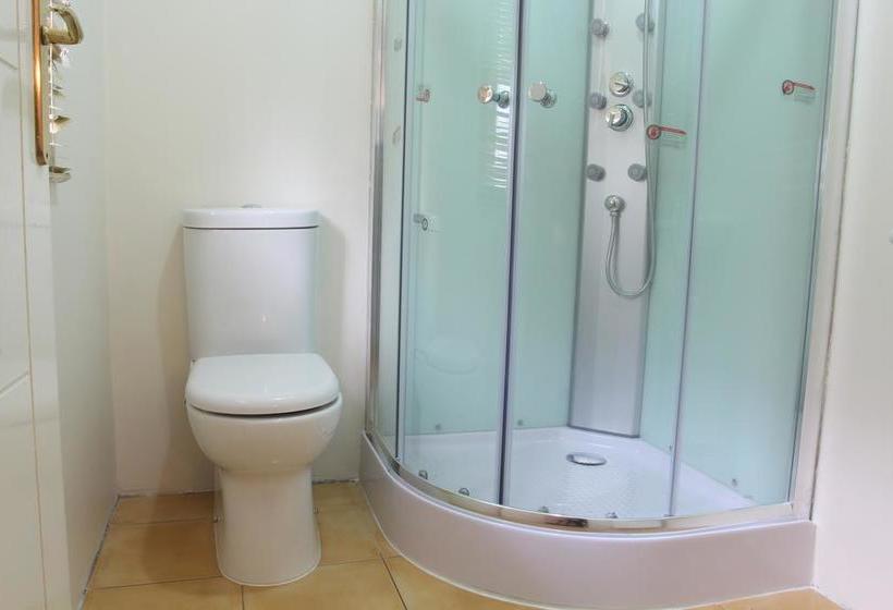 Bed and Breakfast Hostal Pluma De Ganso | Temuco | Araucanía | Chile 5