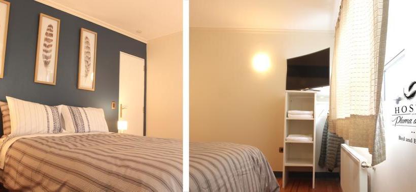 Bed and Breakfast Hostal Pluma De Ganso | Temuco | Araucanía | Chile 9