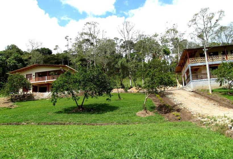 Hotel Hospedaje Y Camping Buena Vista