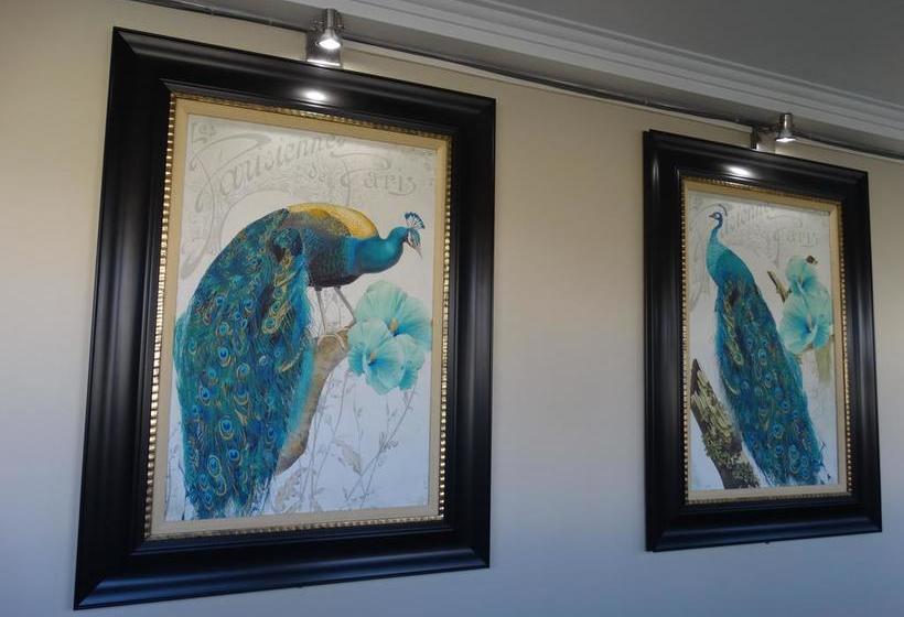 Hotel Hostal Pehuenche | Talca | Maule | Chile 9