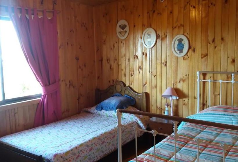 Bed and Breakfast Chiloé Aventura | Castro | Los Lagos | Chile 11