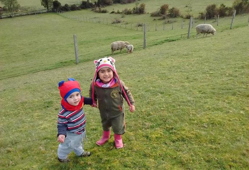 Bed and Breakfast Chiloé Aventura | Castro | Los Lagos | Chile 16