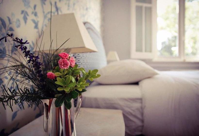 Hotel Alquimista Montevideo | Montevideo | Montevideo | Uruguay 19