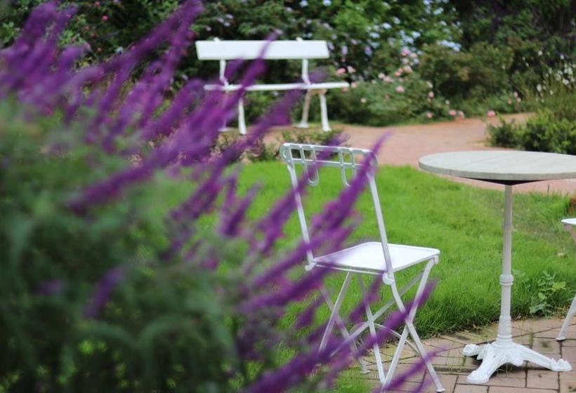 Hotel Alquimista Montevideo | Montevideo | Montevideo | Uruguay 2