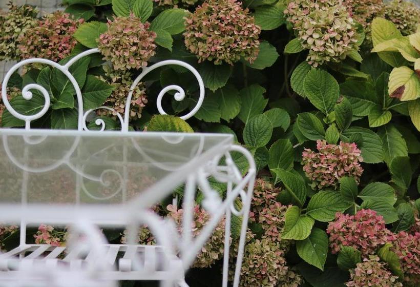 Hotel Alquimista Montevideo | Montevideo | Montevideo | Uruguay 5