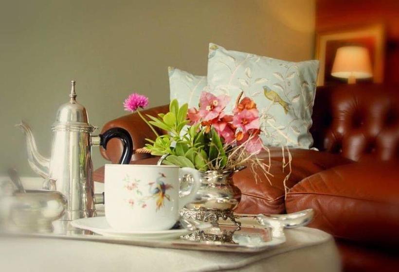 Hotel Alquimista Montevideo | Montevideo | Montevideo | Uruguay 6