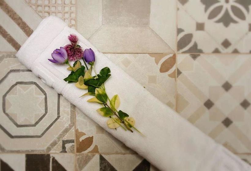 Hotel Alquimista Montevideo | Montevideo | Montevideo | Uruguay 7