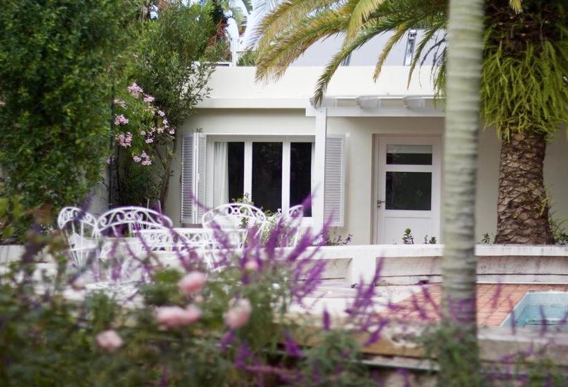 Hotel Alquimista Montevideo | Montevideo | Montevideo | Uruguay 8