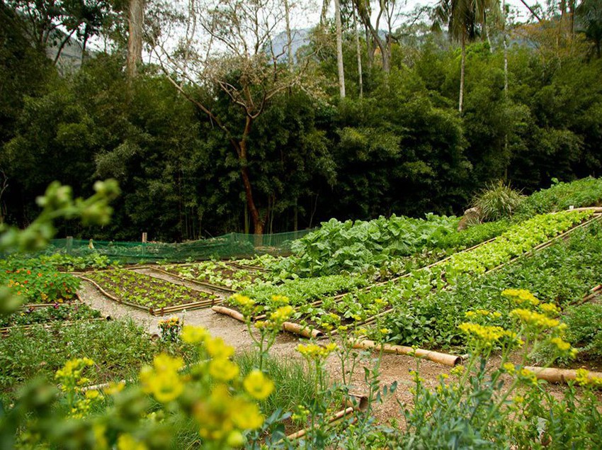 Hotel Pousada Tankamana  | Petropolis | Rio de Janeiro | Brasil 13