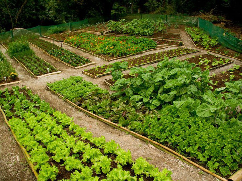 Hotel Pousada Tankamana  | Petropolis | Rio de Janeiro | Brasil 2