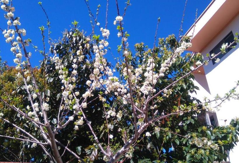 Bed and Breakfast Lujo De Mar | Viña del Mar | Valparaiso | Chile 2