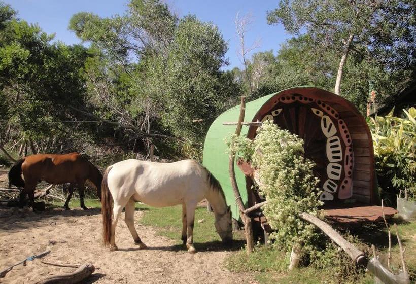Patas Negras B&b | Punta del Diablo | Rocha | Uruguay 3
