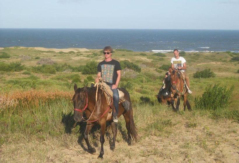 Patas Negras B&b | Punta del Diablo | Rocha | Uruguay 8