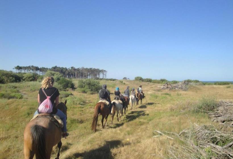 Patas Negras B&b | Punta del Diablo | Rocha | Uruguay 9