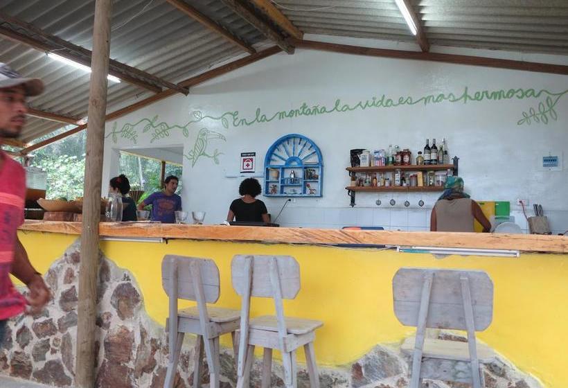 Bed and Breakfast Colores De La Sierra | Minca | Magdalena | Colombia 18