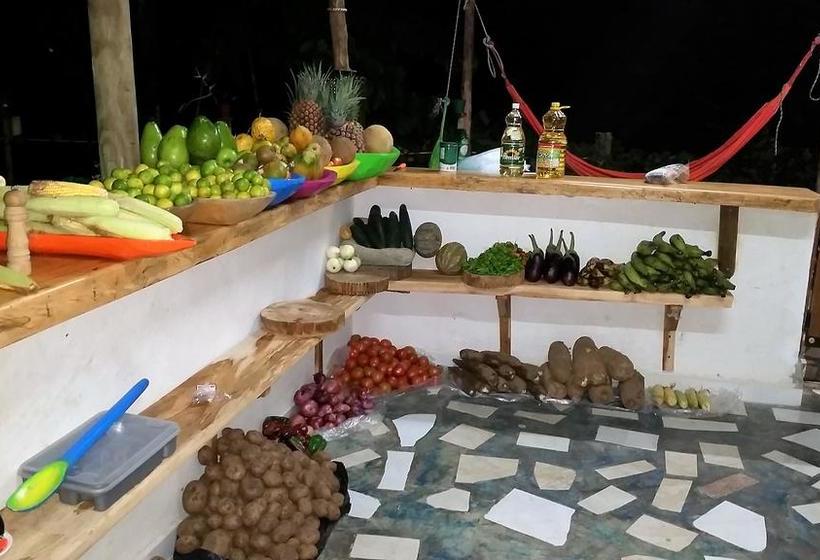 Bed and Breakfast Colores De La Sierra | Minca | Magdalena | Colombia 19