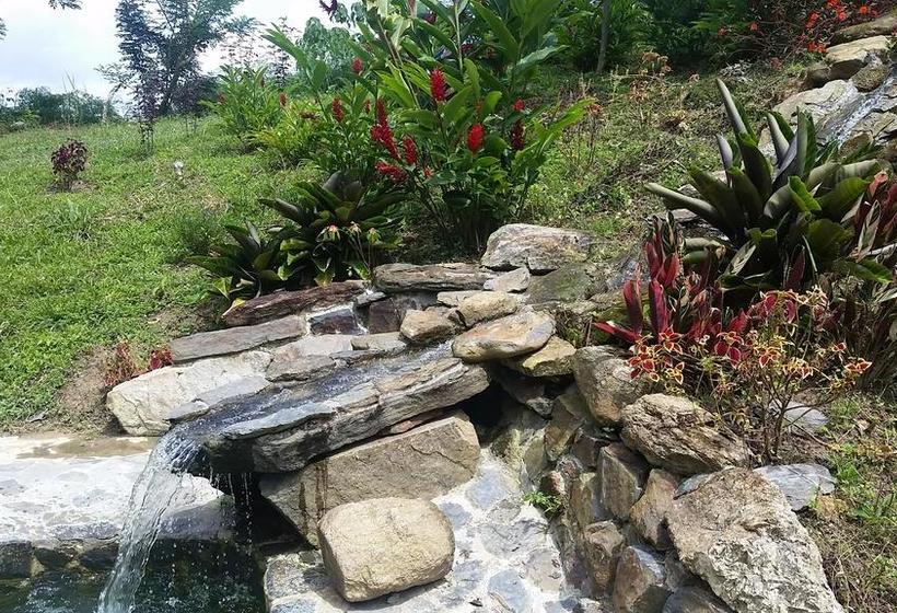 Bed and Breakfast Colores De La Sierra | Minca | Magdalena | Colombia 5