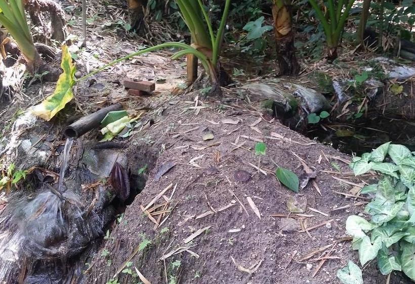 Bed and Breakfast Colores De La Sierra | Minca | Magdalena | Colombia 7