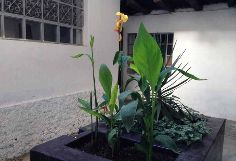 Albergue Chacha International | Chachapoyas | Chachapoyas | Perú 10