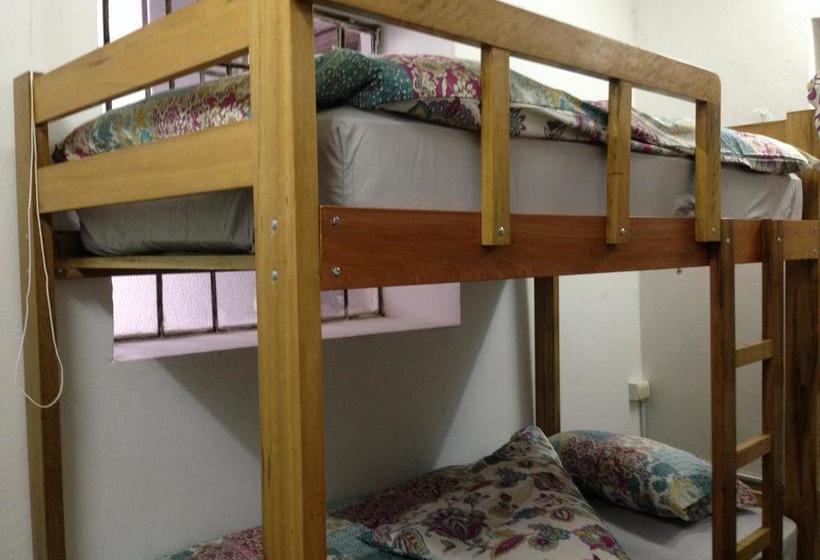 Albergue Chacha International | Chachapoyas | Chachapoyas | Perú 9