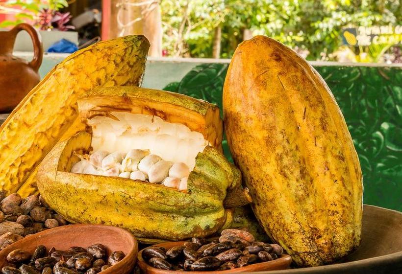 Bed and Breakfast El Quetzal De Mindo | Mindo | Pichincha | Ecuador 4