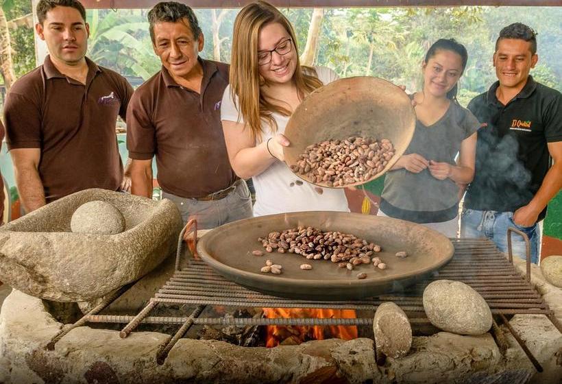 Bed and Breakfast El Quetzal De Mindo | Mindo | Pichincha | Ecuador 5