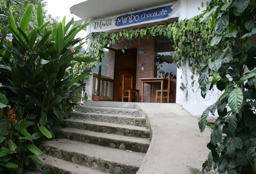 Bed and Breakfast El Quetzal De Mindo | Mindo | Pichincha | Ecuador 7