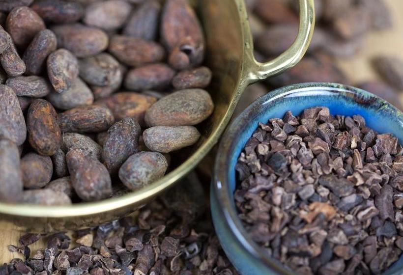 Bed and Breakfast El Quetzal De Mindo | Mindo | Pichincha | Ecuador 8