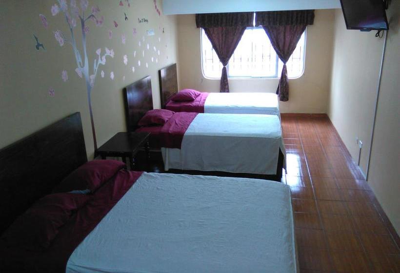 Hotel Hostal Stefano | Pisco | Pisco | Perú 5