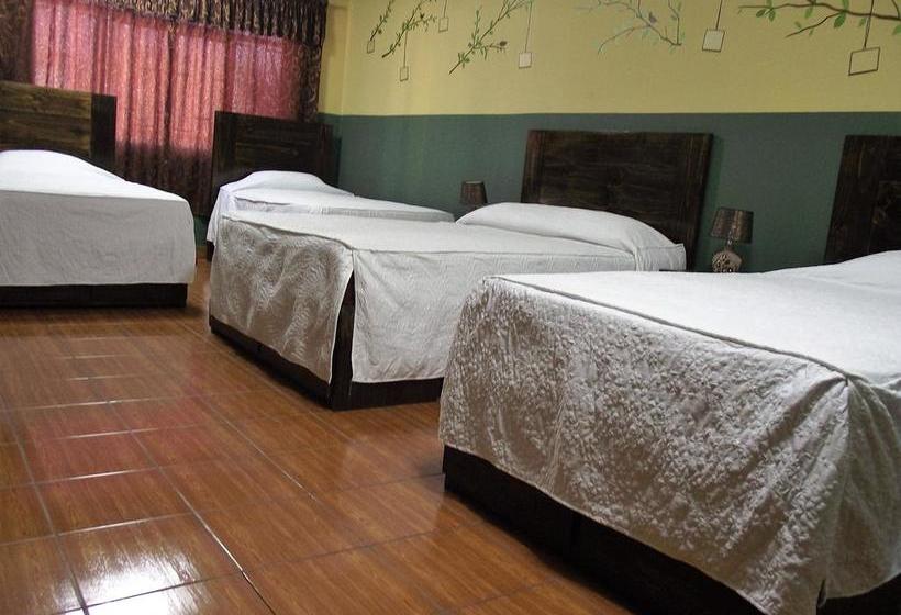 Hotel Hostal Stefano | Pisco | Pisco | Perú 7