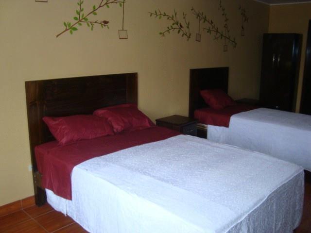 Hotel Hostal Stefano | Pisco | Pisco | Perú 9