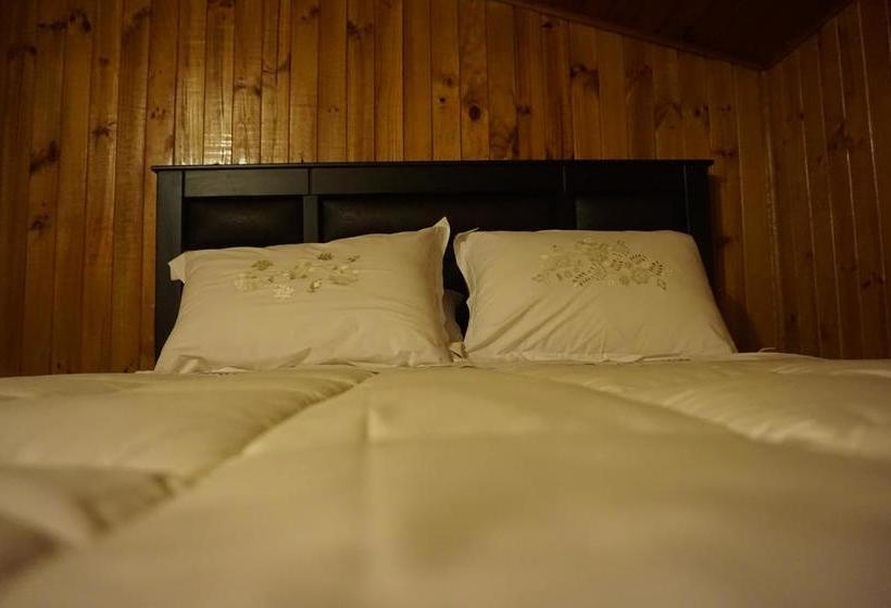 Pensión Hospedaje Amapola | Castro | Los Lagos | Chile 10