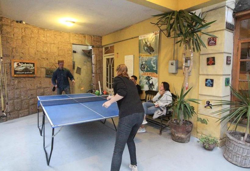 Backpacker's Hostel Iquique | Iquique | Tarapaca | Chile 11