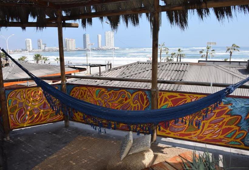 Backpacker's Hostel Iquique | Iquique | Tarapaca | Chile 12