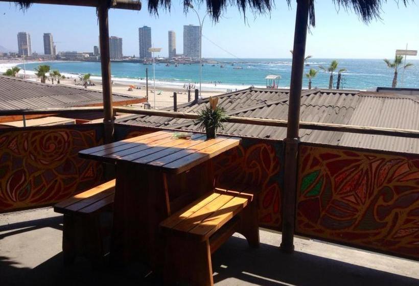 Backpacker's Hostel Iquique | Iquique | Tarapaca | Chile 3