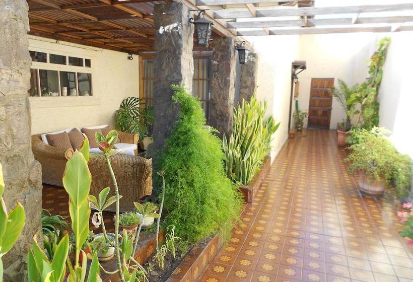 Bed and Breakfast Iquique Beachfront Bed&Breakfast | Iquique | Tarapaca | Chile 10