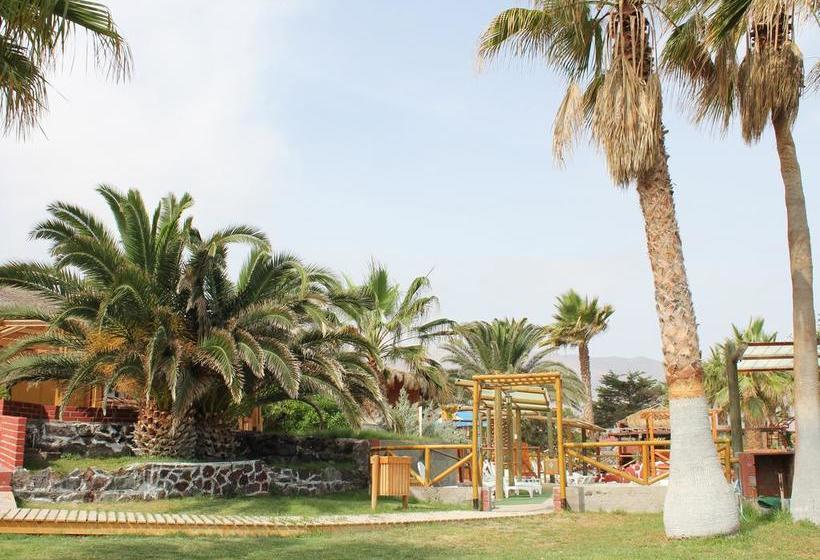 Hotel Jatata Aqua Resort | Iquique | Tarapaca | Chile 14