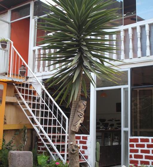 Albergue Killari Hostal Ollantaytambo | Ollantaytambo | Urubamba | Perú 19