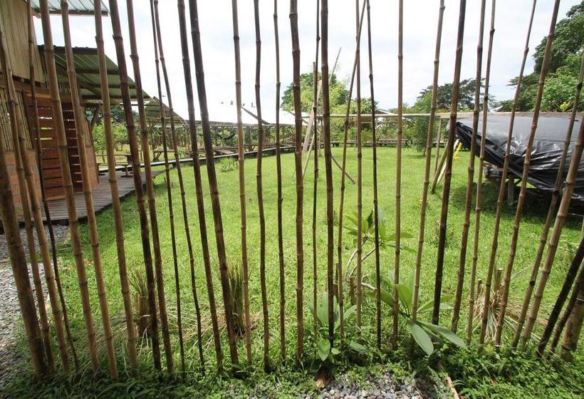 Albergue Maracumbo Camping Y Cabanas | Mompiche | Esmeraldas | Ecuador 11