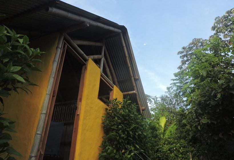 Albergue Maracumbo Camping Y Cabanas | Mompiche | Esmeraldas | Ecuador 16