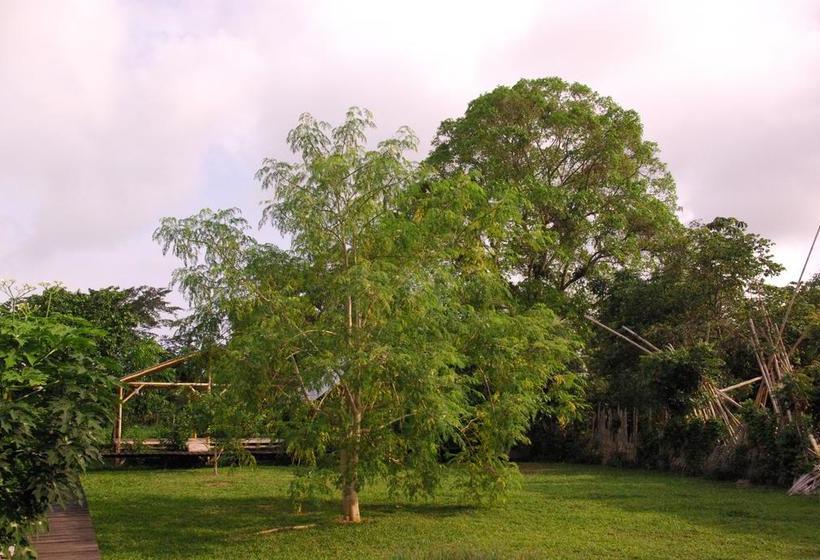 Albergue Maracumbo Camping Y Cabanas | Mompiche | Esmeraldas | Ecuador 7