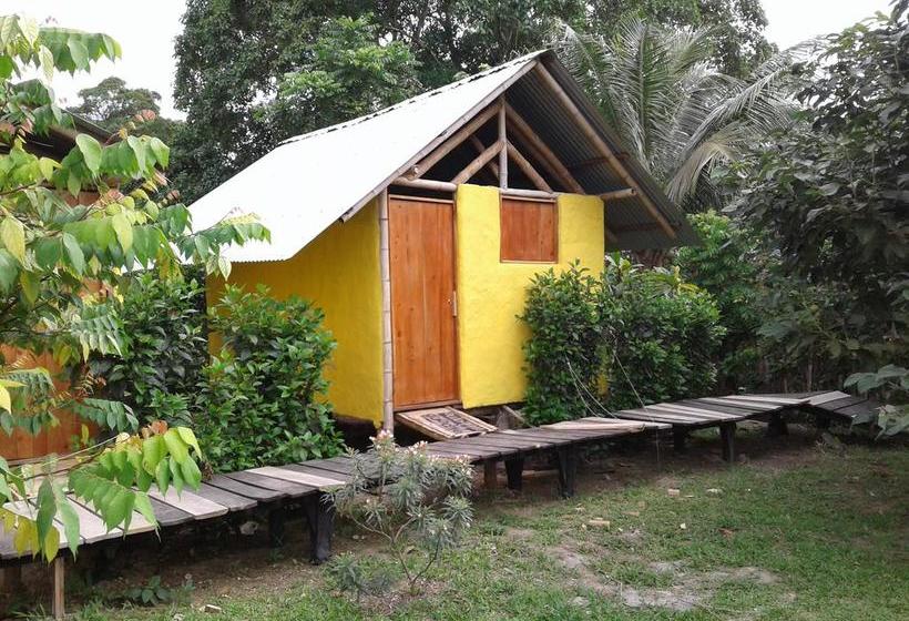 Albergue Maracumbo Camping Y Cabanas | Mompiche | Esmeraldas | Ecuador 9