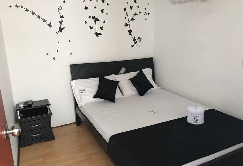 Albergue Hostal Casa Blanca | Bucaramanga | Santander | Colombia 5