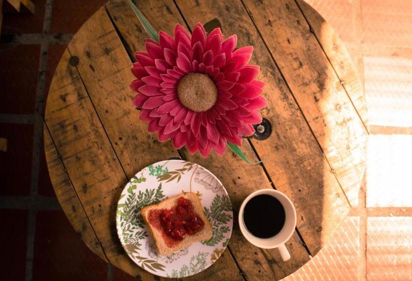 Albergue Estiba House | Popayán | Cauca | Colombia 13