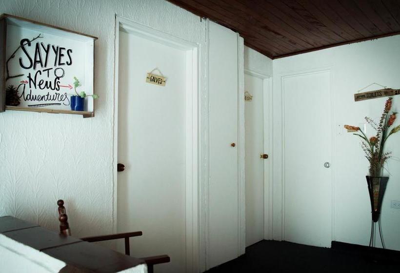 Albergue Estiba House | Popayán | Cauca | Colombia 7