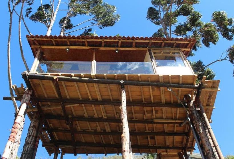 Hotel Restaurante Altar Inca | Cuzco | Cuzco | Perú 7