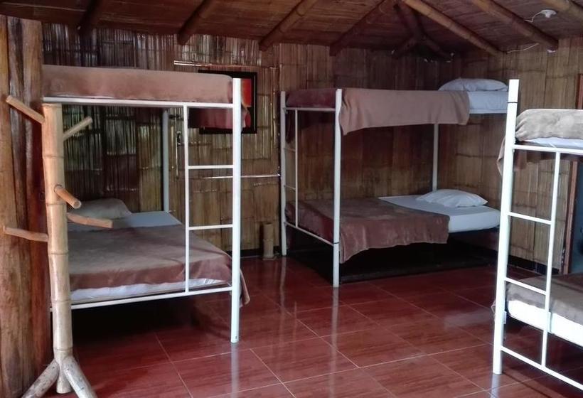 Hotel Hospedaje El Mirador | Santa Rosa de Cabal | Risaralda | Colombia 20