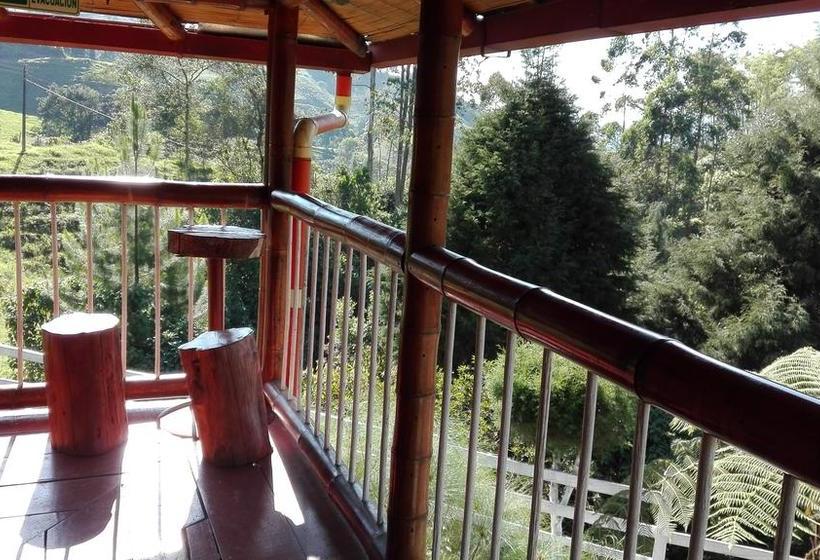 Hotel Hospedaje El Mirador | Santa Rosa de Cabal | Risaralda | Colombia 7