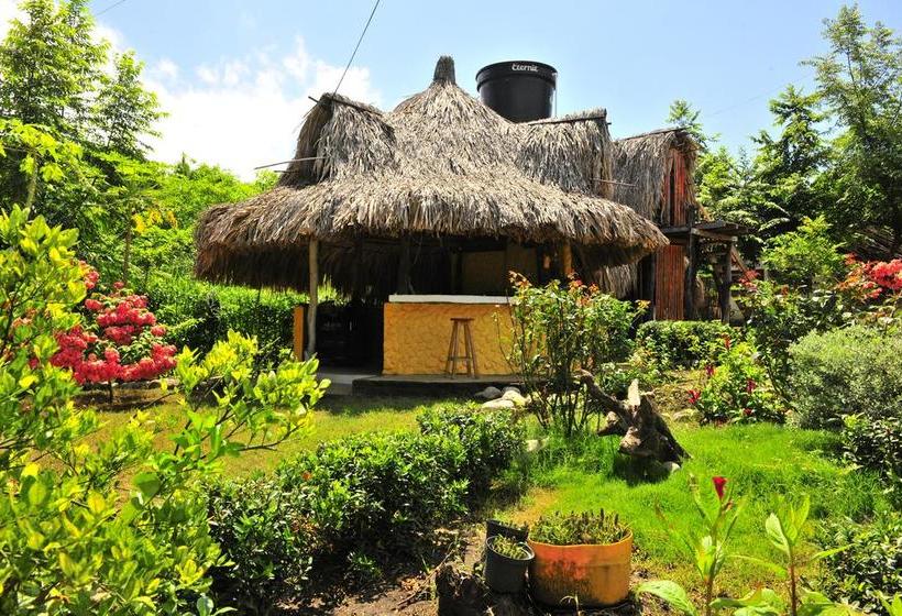 Faro Hostel Palomino